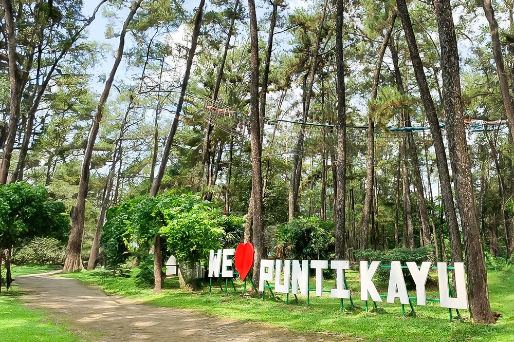 00-punti kayu